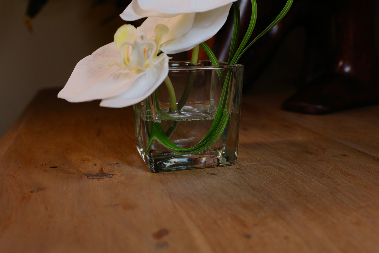 Composition Orchidée de Table